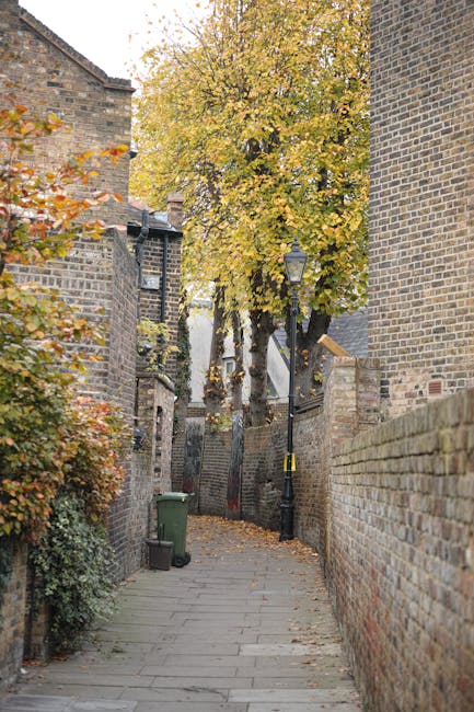 A quiet residential street in East Dulwich SE22 featuring a row of traditional terraced houses constructed from light-colored brick, with multiple stories and chimneys on the rooftops. The street is l